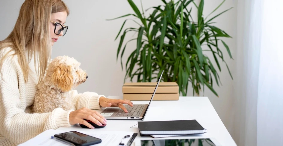 Make your own paycheck stubs online using secure tools and accurate payroll details