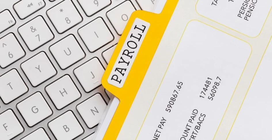 Examples of pay stubs generated to show earnings, deductions, and net pay clearly