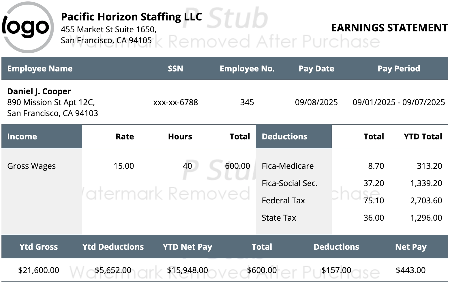 Cheap Paystub Template