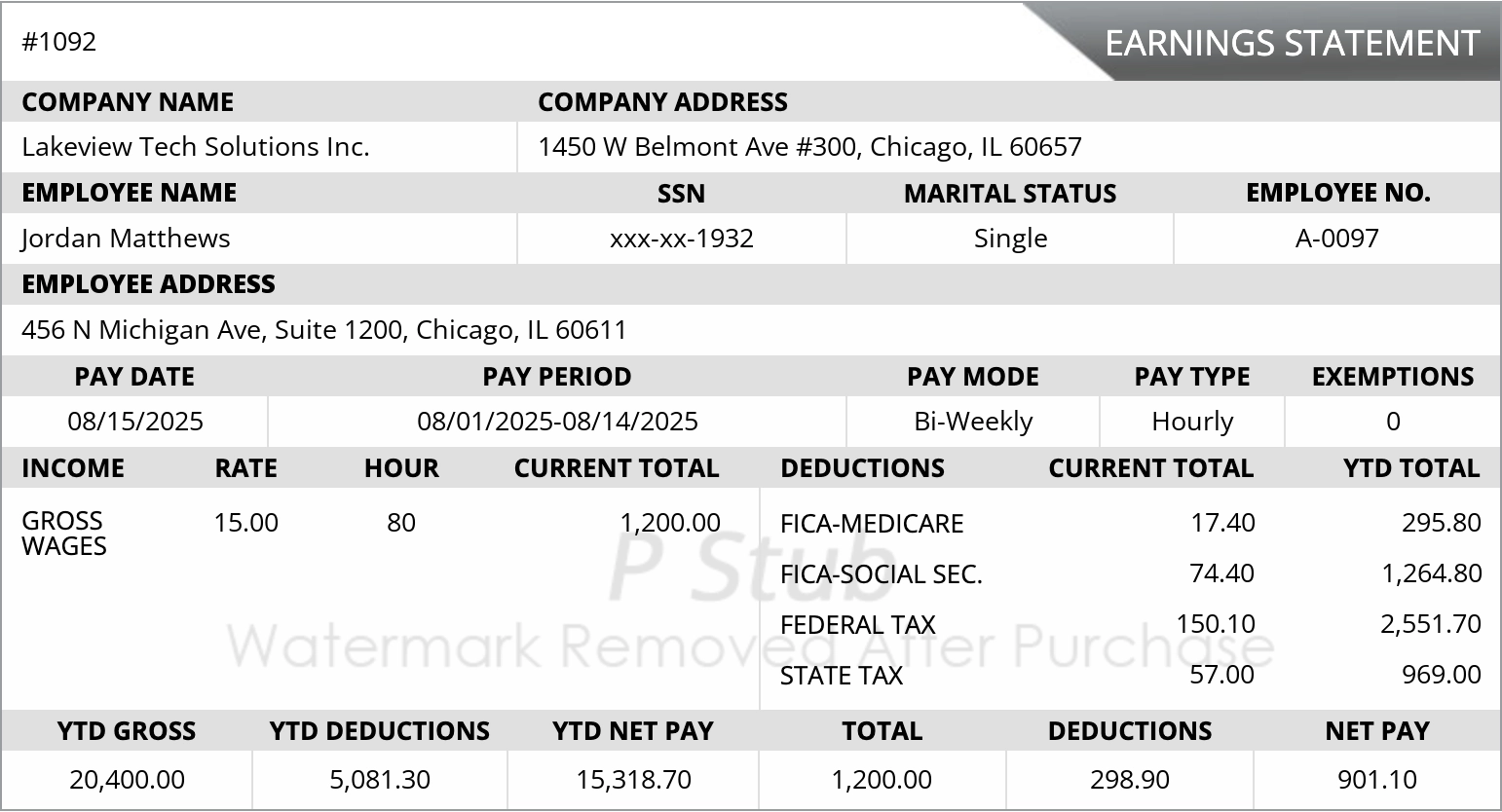 Regular Paystub Template