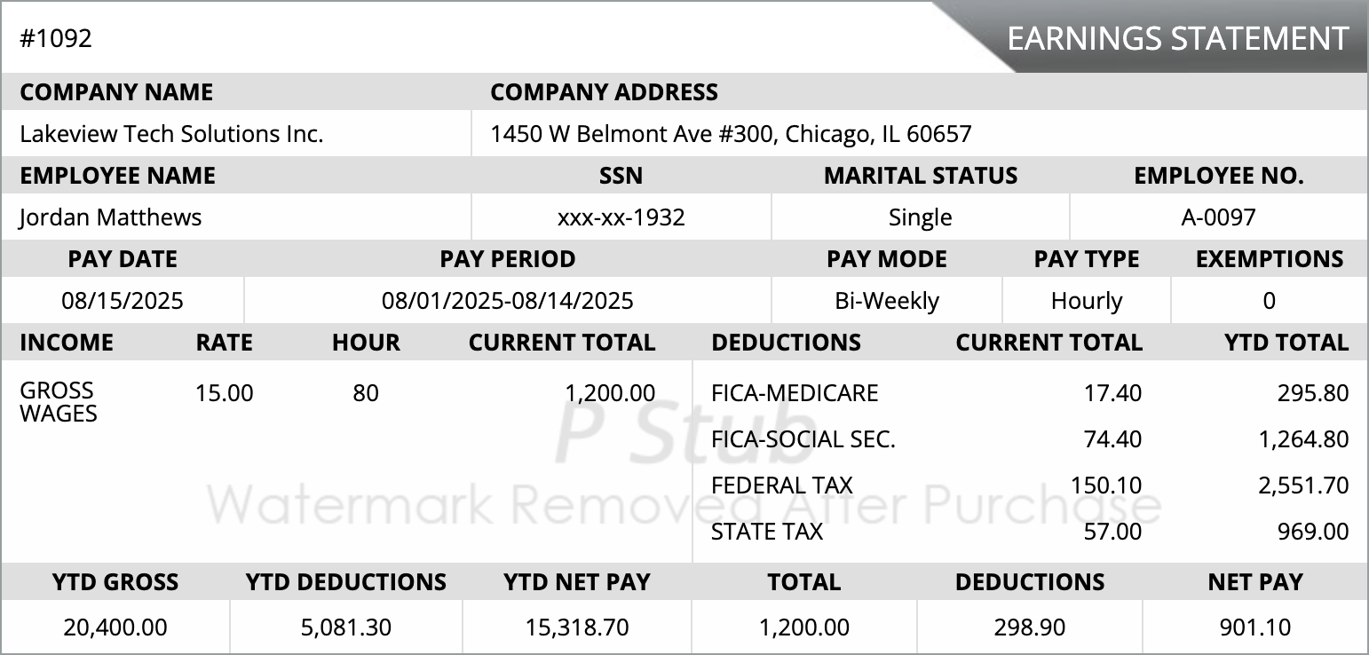 Regular Pay Stub Template